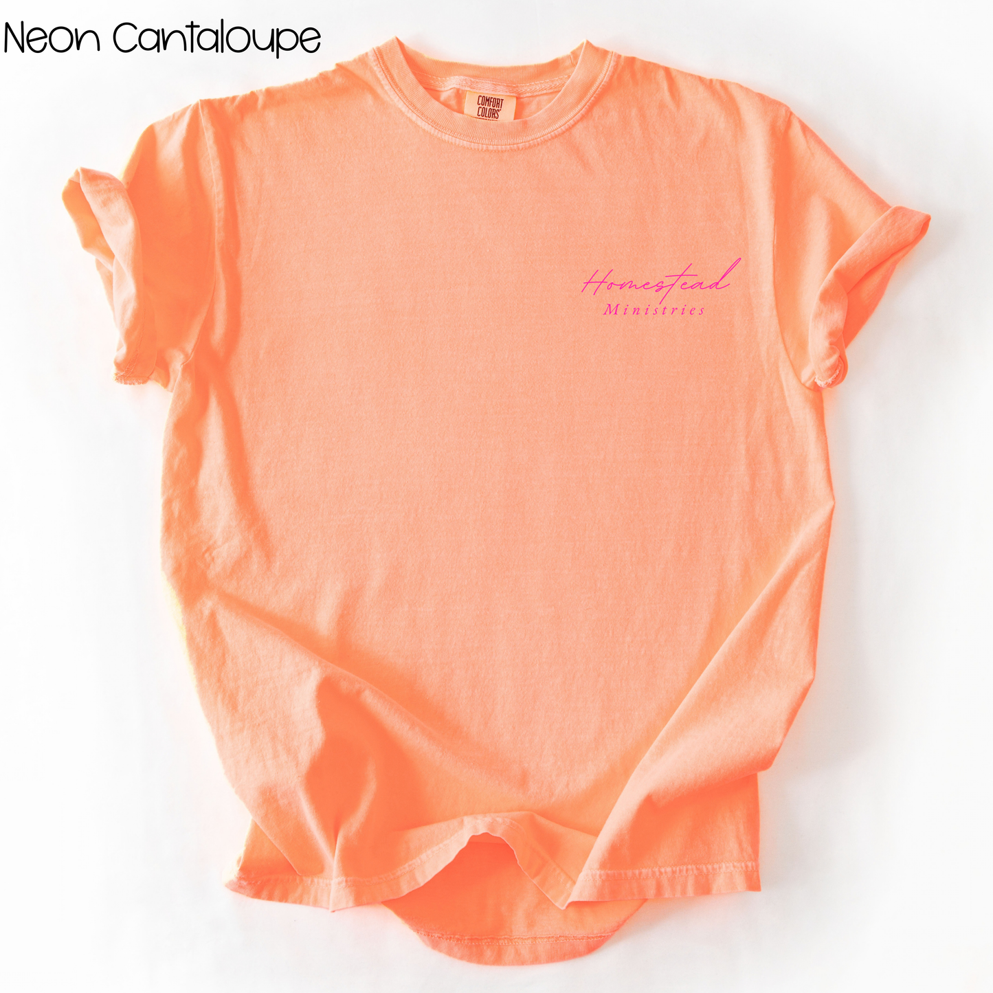 Homestead Ministries Tees